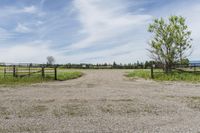 Grass Surface on a Property in Canada