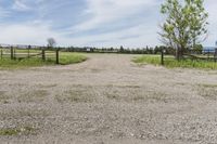 Grass Surface on a Property in Canada