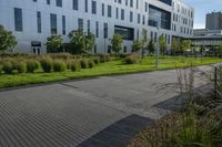 a city street surrounded by grass and tall buildings at the end of a street there is a paved pathway in front of the building