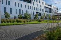 a city street surrounded by grass and tall buildings at the end of a street there is a paved pathway in front of the building