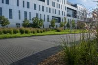 a city street surrounded by grass and tall buildings at the end of a street there is a paved pathway in front of the building