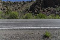 Scenic Road with Grass and Trees in Crested Butte