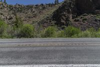 Scenic Road Through Grass and Trees in Crested Butte