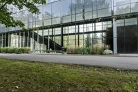 Grass in the Urban Setting: Office Building in Toronto