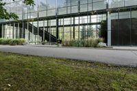 Grass in the Urban Setting: Office Building in Toronto