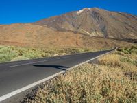 Grass and Vegetation on Highland Slope in Tenerife, Spain