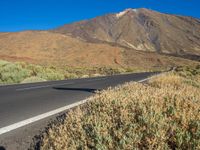 Grass and Vegetation on Highland Slope in Tenerife, Spain