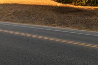 Grassy Hills with Yellow Horizon and Tree 003