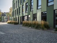 Grassy Neighbourhood in Berlin Town