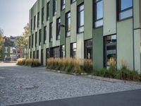 Grassy Neighbourhood in Berlin Town