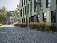 Grassy Neighbourhood in Berlin Town
