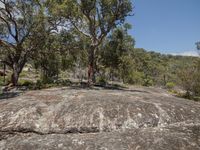 this is a picture of a landscape taken on a rocky outcropping above bushland