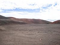 Grassy Plain: Off Road Track for Nature Lovers