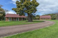 the driveway leads to two small cabins on the property's lot of grass and a large tree in front