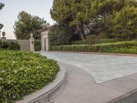 Grassy Property with Walkway through the Garden