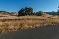 Grassy Road Across Highland Terrain