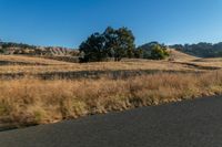 Grassy Road Across Highland Terrain