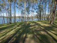 a grassy yard with trees on both sides and a lake behind it in front of blue sky