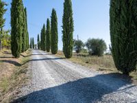 a gravel road surrounded by trees on a clear day with a blue sky overhead and white clouds overhead