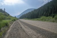 gravel road leading away from mountains with trees and grass on both sides of it and an open field in the middle