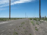 Gravel Road in Colorado: Embracing Nature on a Sunny Day