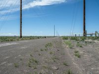 Gravel Road in Colorado: Embracing Nature on a Sunny Day