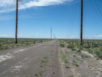 Gravel Road in Colorado: Embracing Nature on a Sunny Day