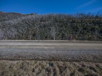 a gravel road passing through a forest filled with trees on a sunny day in winter