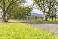 the pathway with grass and trees on each side of a gravel road, with a large field in the background