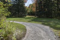 a gravel road with a single red pickup truck coming through trees near a field of trees