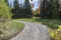 a gravel road with a single red pickup truck coming through trees near a field of trees