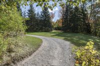 a gravel road with a single red pickup truck coming through trees near a field of trees