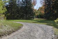 a gravel road with a single red pickup truck coming through trees near a field of trees