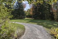 a gravel road with a single red pickup truck coming through trees near a field of trees