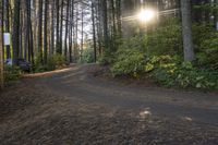 a gravel road is shown with trees on both sides and a bench next to it