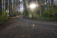 a gravel road is shown with trees on both sides and a bench next to it