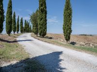 the view of a gravel road with some trees in the background, and an empty path through the middle