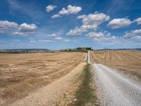 Gravel Road in Tuscany: A Scenic Nature Scene