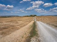 Gravel Road in Tuscany: A Scenic Nature Scene