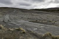 a gravel road surrounded by dry grass and shrubs in the desert under a cloudy sky