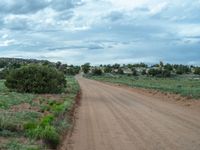 Gravel Road in Utah: Embraced by Nature's Surroundings