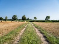 a dirt road through a field with hay bales in the background on a sunny day