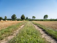 a dirt road through a field with hay bales in the background on a sunny day