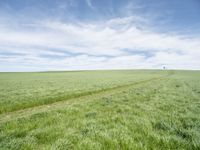 a view of a grassy field on the side of a highway in the countryside of iowa