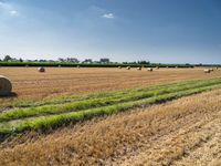 a field with bales and weeds, and grass in the middle, and two rows of hay to the right, under a sky