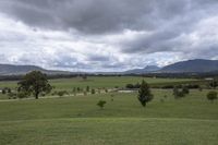 a green field with some mountains in the background while clouds are covering them on the horizon