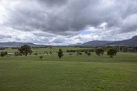 a green field with some mountains in the background while clouds are covering them on the horizon