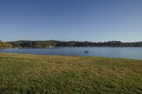 the sun shines brightly on a green field by a river surrounded by trees with several boats in the water and a blue sky above