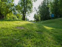 a field with trees that are very green grass and bushes in the background with a sign near by