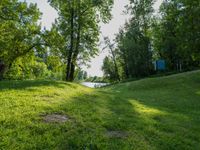 a field with trees that are very green grass and bushes in the background with a sign near by